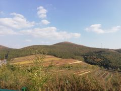 -草原天路(张北县)