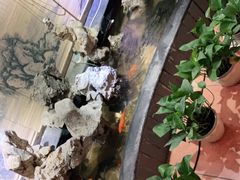 -御轩足道·SPA·养生·保健(瑞金北路店)