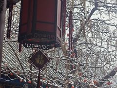 -张学良旧居陈列馆
