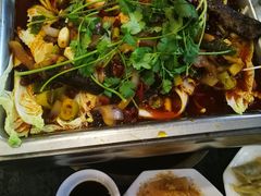 乌江鱼-重庆火锅水库鱼庄(南油店)