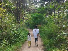 -沈阳辉山风景区