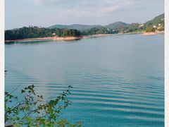 -广州市流溪河国家森林公园