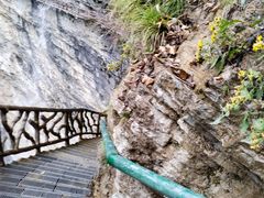 -鹿院坪生态旅游景区
