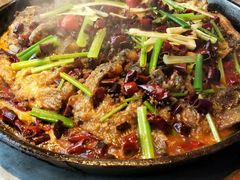 -老板恋上鱼(恒隆广场店)