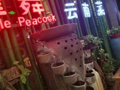 -雀舞云南菜(天津天河城购物中心店)