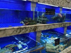 水产区-香山湖渔家大院