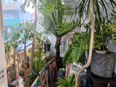 -甲乙果 美术书法(通州校区)