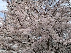 -上海跨国采购会展中心