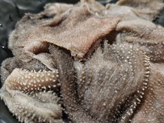 -铜元老码头鳝鱼火锅