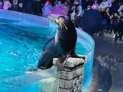 -哈尔滨波塞冬海底世界