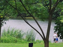 -盘龙城国家考古遗址公园