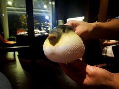 -肆月河豚·淮扬菜·湘菜(华天店)