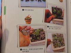 -五峰书院(南洋泾路店)