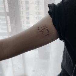 -明星刺青·洗纹身