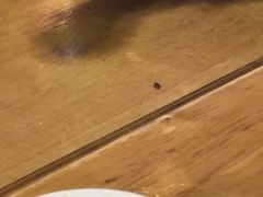 -大龙辣火锅·龙虾·烧烤(湖滨新天地店)