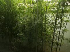 -竹雨堂创意中国菜(裕华店)