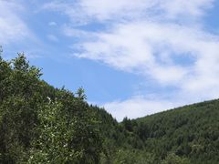 -红崖峡谷景区
