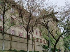 -武汉大学-樱园
