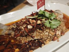 -杨氏青龙虾·羊蝎子(托乐嘉店)