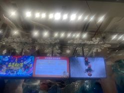 -探洞工场(重庆爱琴海旗舰店)