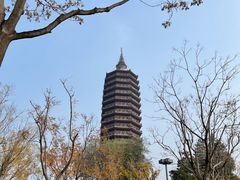 -西海子公园