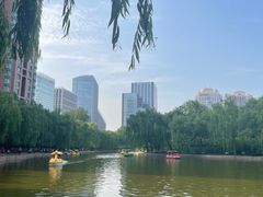 -团结湖公园
