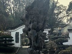 -南山植物园
