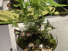 -利星行天竺之星汽车有限公司