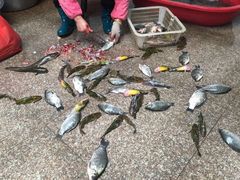 -天目湖刘老四农庄