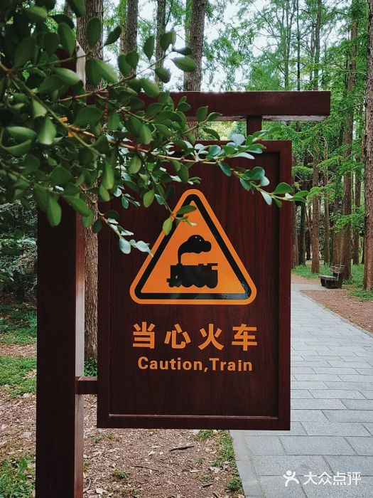 上海共青森林公园图片