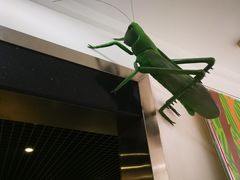 -上海昆虫博物馆