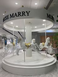 点击看大图 -MuseMarry婚纱(前海嘉里中心店)