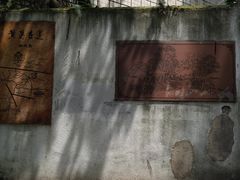 -南山植物园