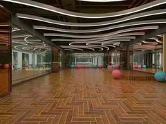 -金吉鸟健身游泳