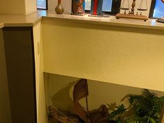 -神户牛排餐厅MOURIYA(总店)