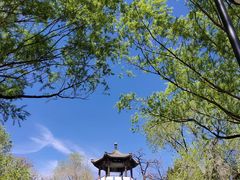 -莲花池公园