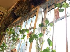 靠窗位-大王油茶(磁器口店)