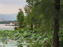 -飞来湖湿地公园