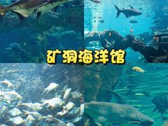 -长鹿旅游休博园
