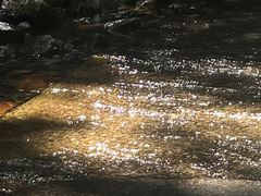 -本溪汤沟绿石谷森林公园