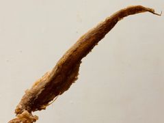 -沪依小酒馆心意菜