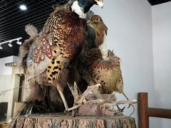 -河北村民俗体验园