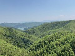 -莫干山风景区