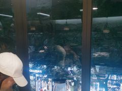-野妹火锅(龙岗店)