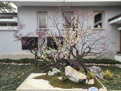 -无锡梅园公园