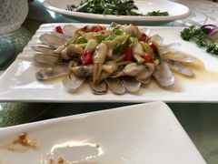 -丁老爷子苏香圆