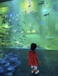 -萌宠亲子动物乐园(槐房万达店)