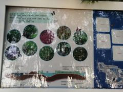 -昆山城市生态森林公园