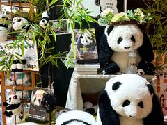 -轩客会(熊猫书店)