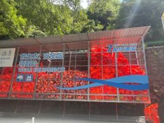 -雅鲁激流探险漂流